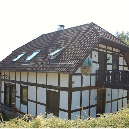 Apartment Edersee Fuer 4 Personen Frankenau 外观 照片